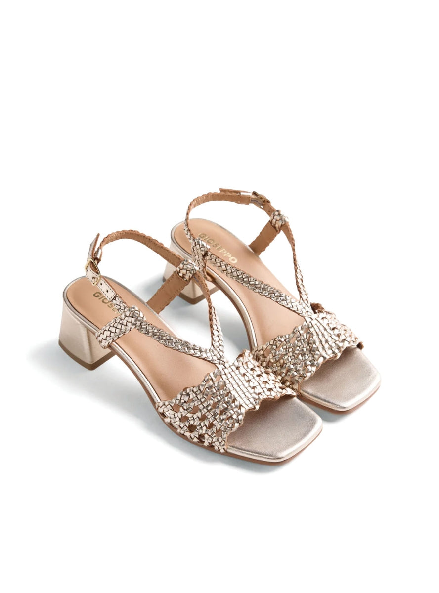 GIO 79234 BLISSFIELD  PLATINO -1