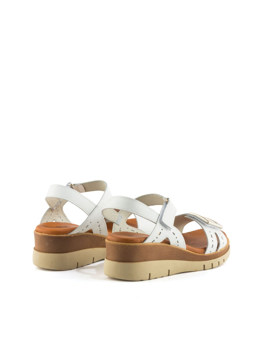 4236 BRAND 4630 BLANCO -2