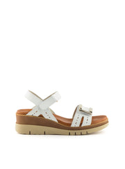 4236 BRAND 4630 BLANCO -0
