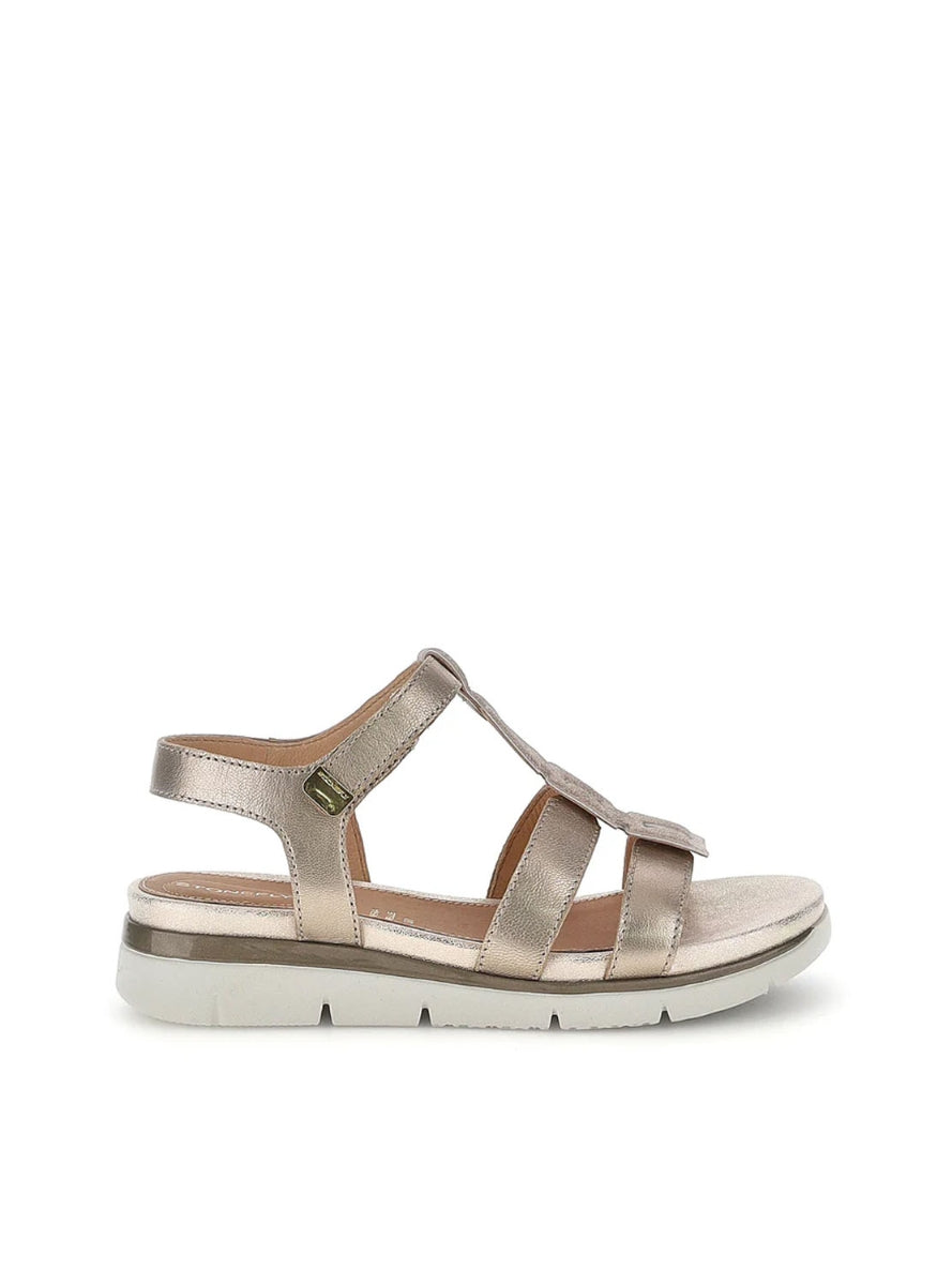 STONEFLY 223659 DZW TAUPE PLATINO-0
