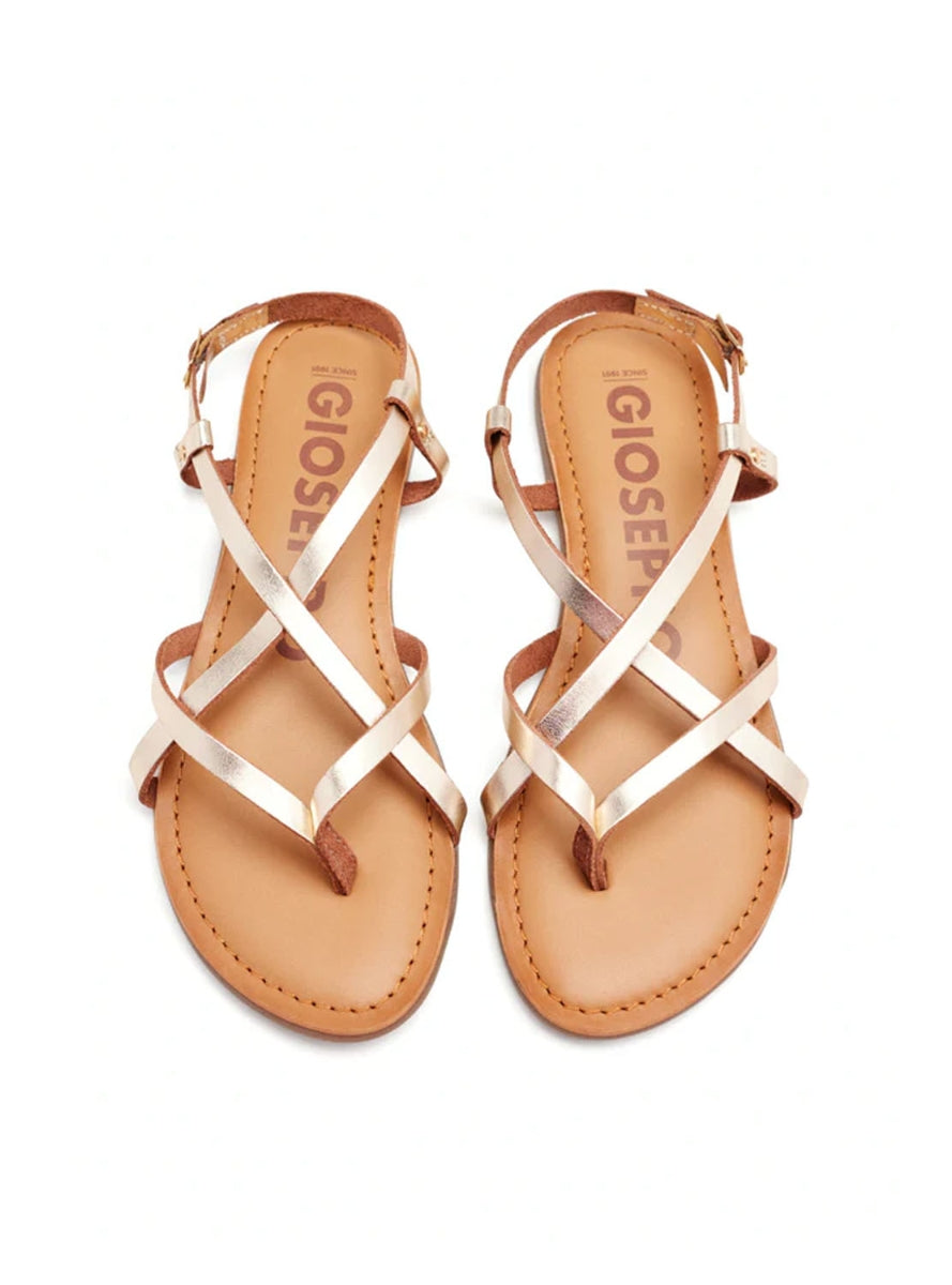 GIO 69114 LELEX ORO-1