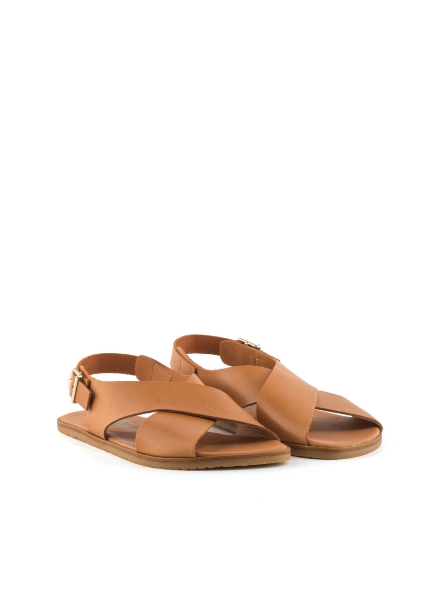 1190 BAREFOOT AURORA  CUERO -1