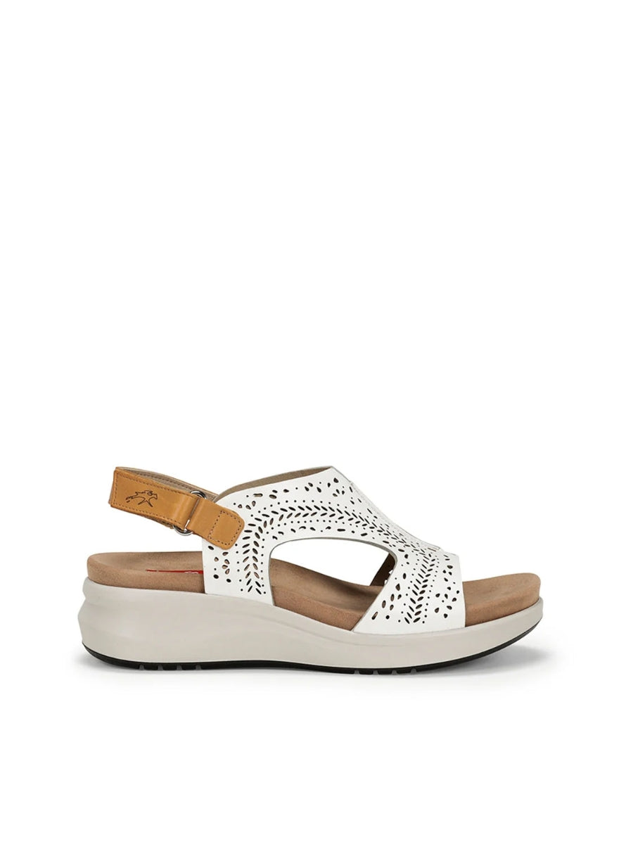 FLUCHOS F1481 BLANCO CAMEL-0