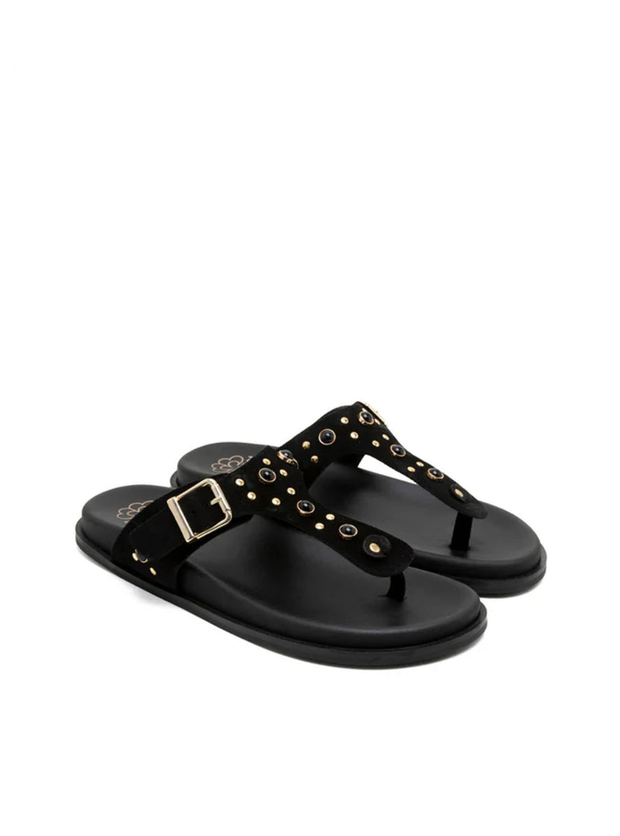 PORRONET 3294 NEGRO -1