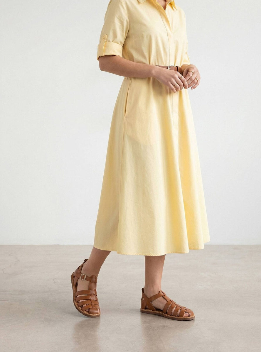PKL W0F-0934 sra  BRANDY -1
