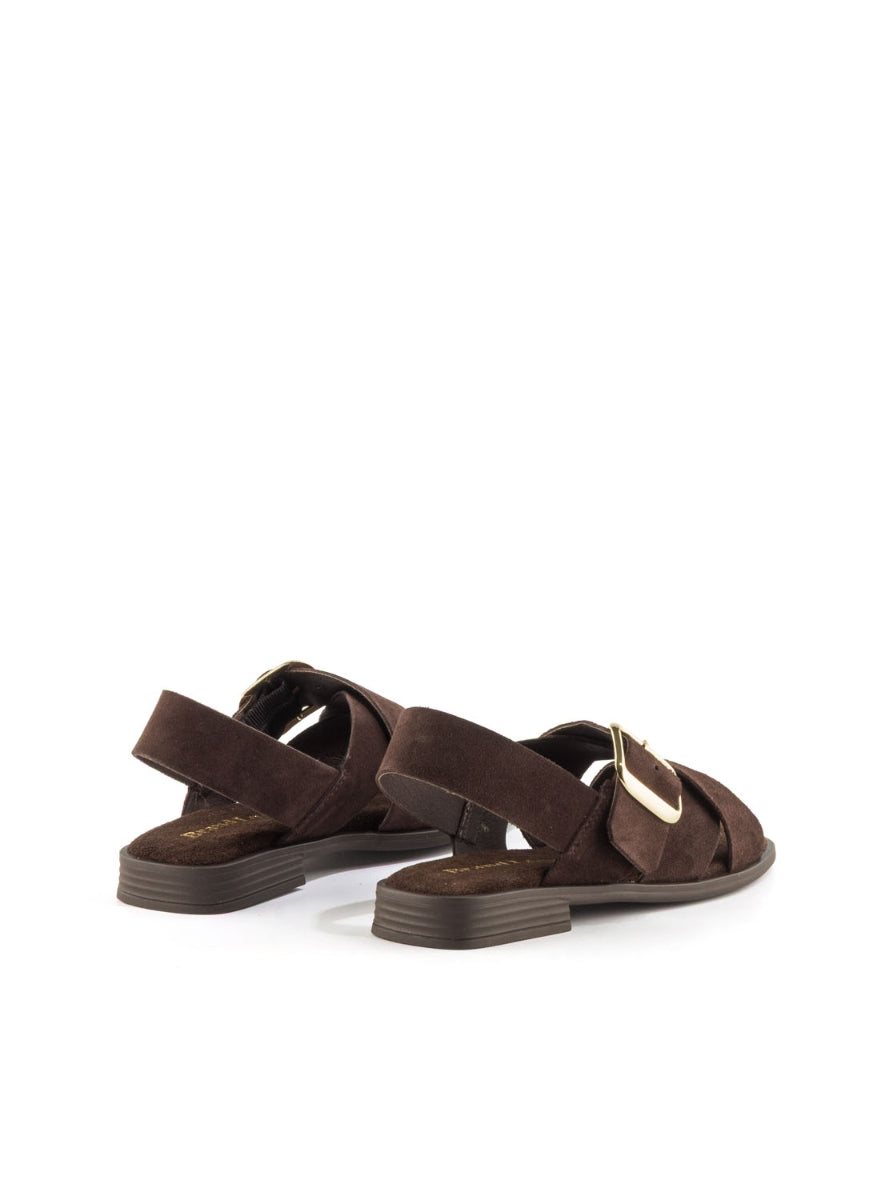 1244 BRAND T-162854 MARRON -2