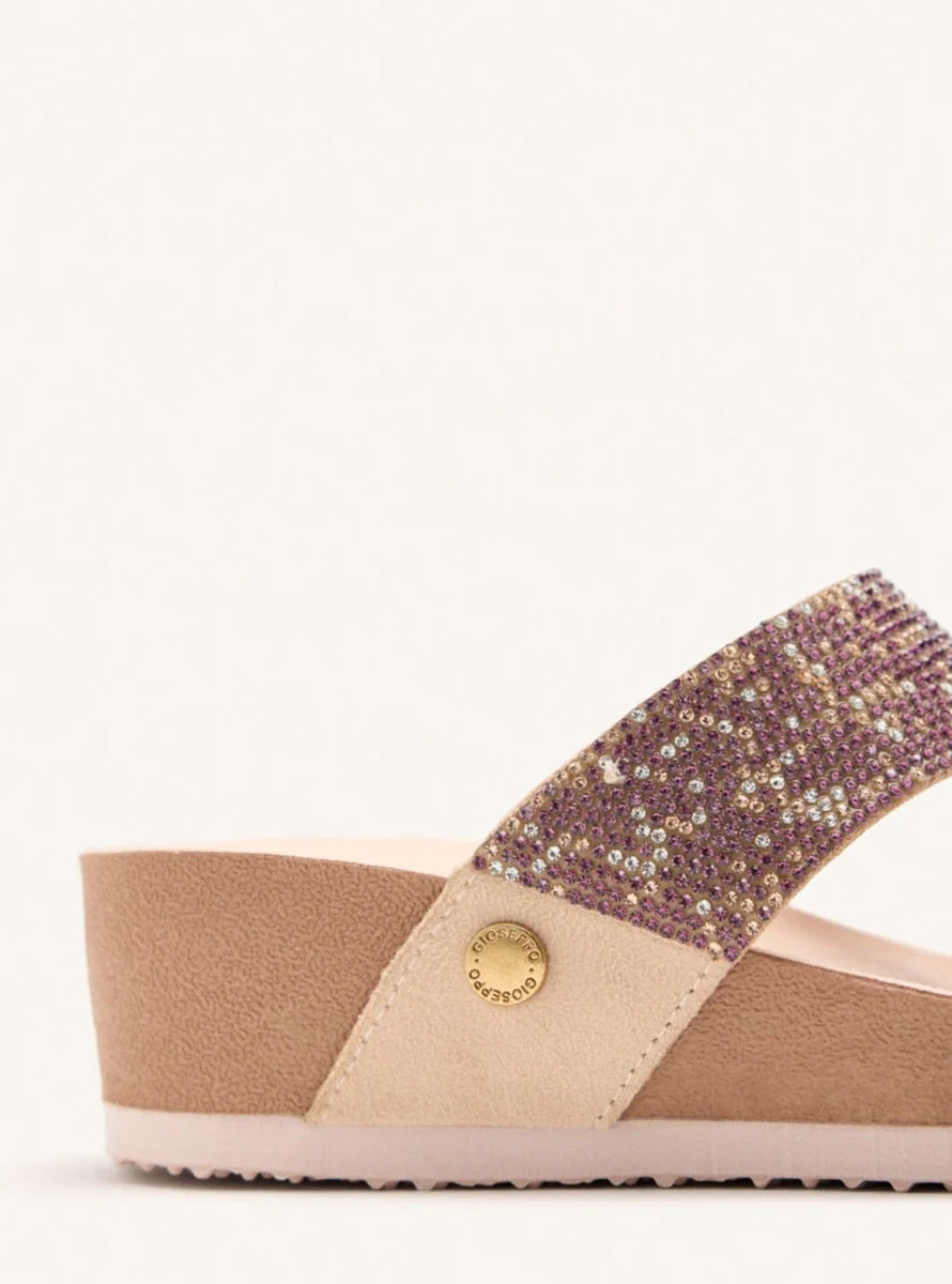 GIO 74513 STODDARD  ROSA -2