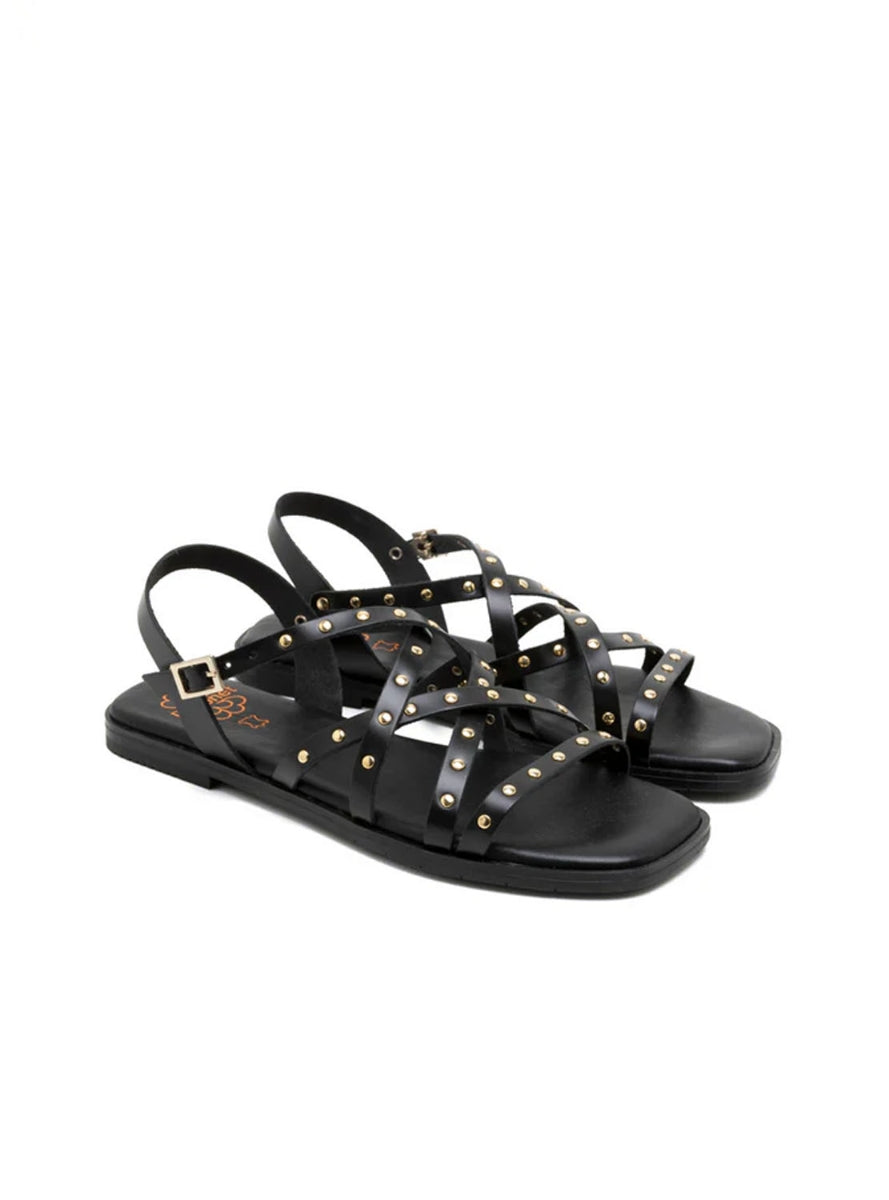 PORRONET 3223 NEGRO -1