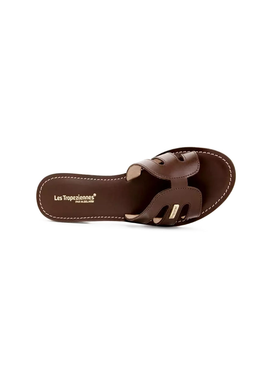 LTROP DAMIA C331211 CHOCO -1