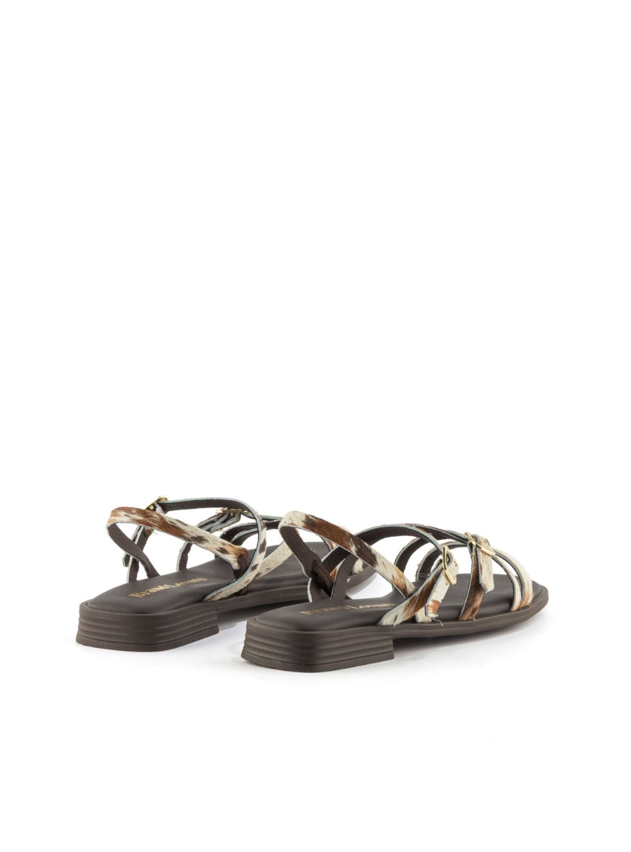 1244 BRAND T-162836 VACA -2
