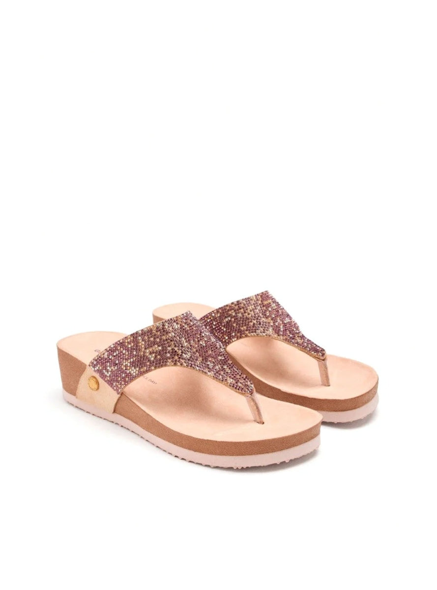 GIO 74513 STODDARD  ROSA -1