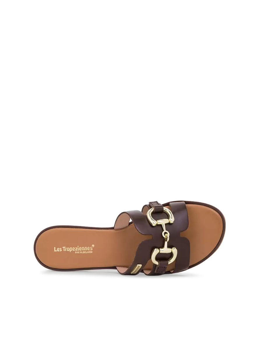 LTROP HAMIA C331207 CHOCOLATE -2