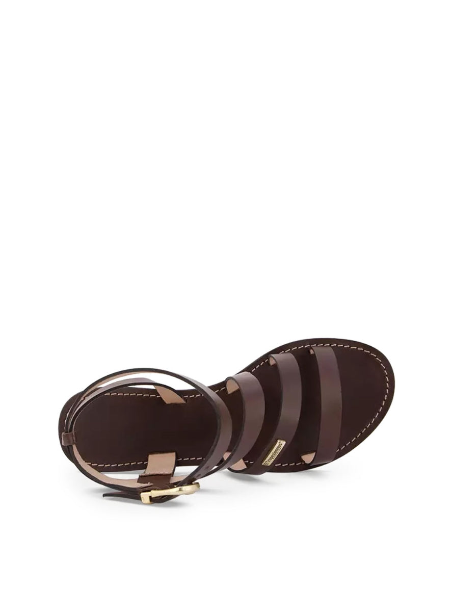 LTROP HAGMEL C331229 CHOCOLATE -2