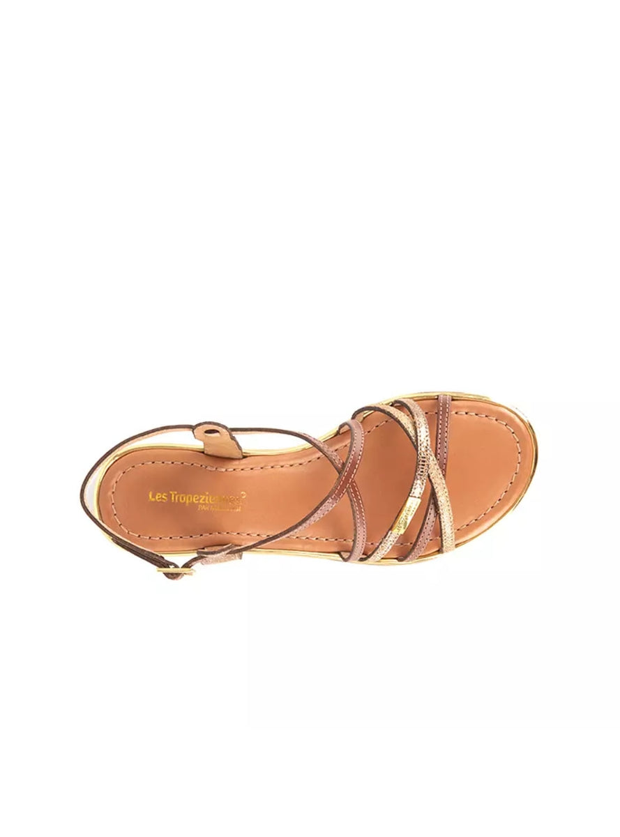 LTROP HARRY C023233 MARRON ORO -2