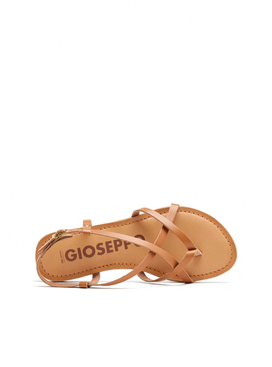 GIO 69114 LELEX  CUERO -2