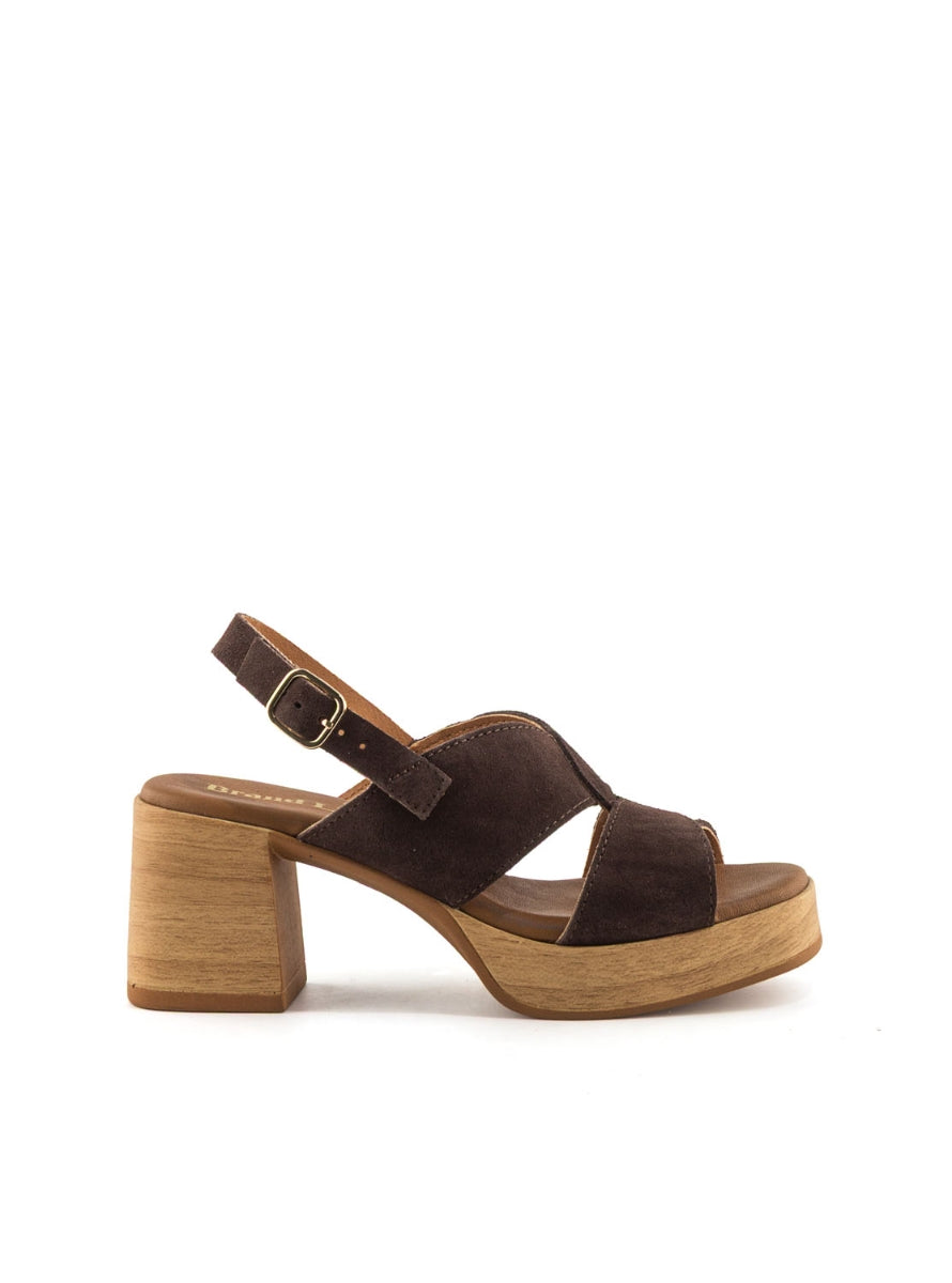 1244 BRAND T-145793 MARRON -0