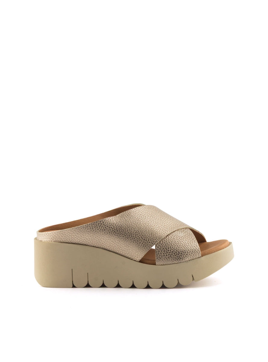 204261 BRAND ARA 500  CAVA-0