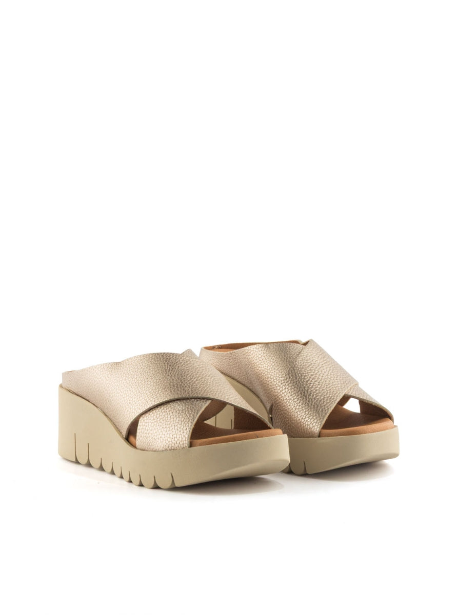 204261 BRAND ARA 500  CAVA-1