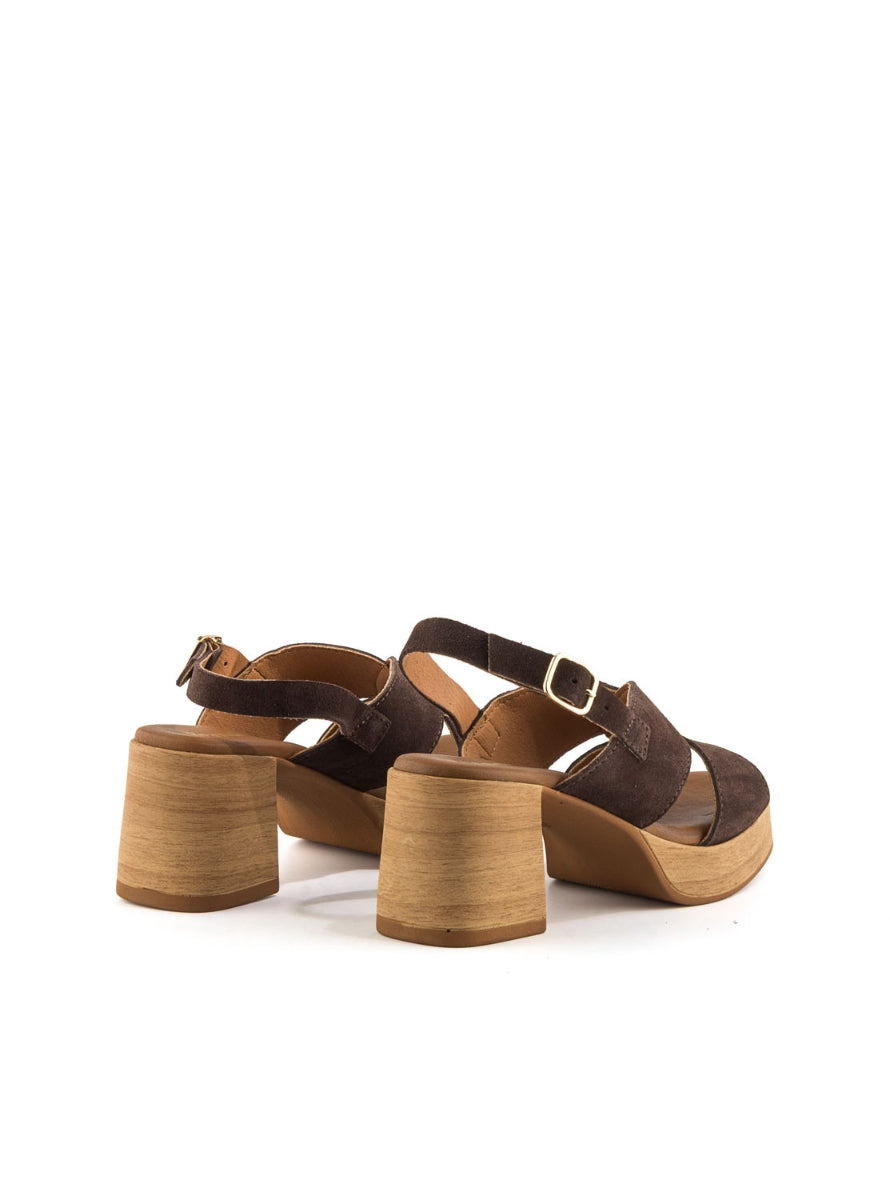 1244 BRAND T-145793 MARRON -2