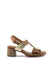 1244 BRAND T-111863 BRONCE PLATINO-0