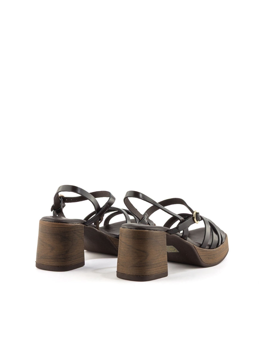 1244 BRAND T-145861 MARRON -2