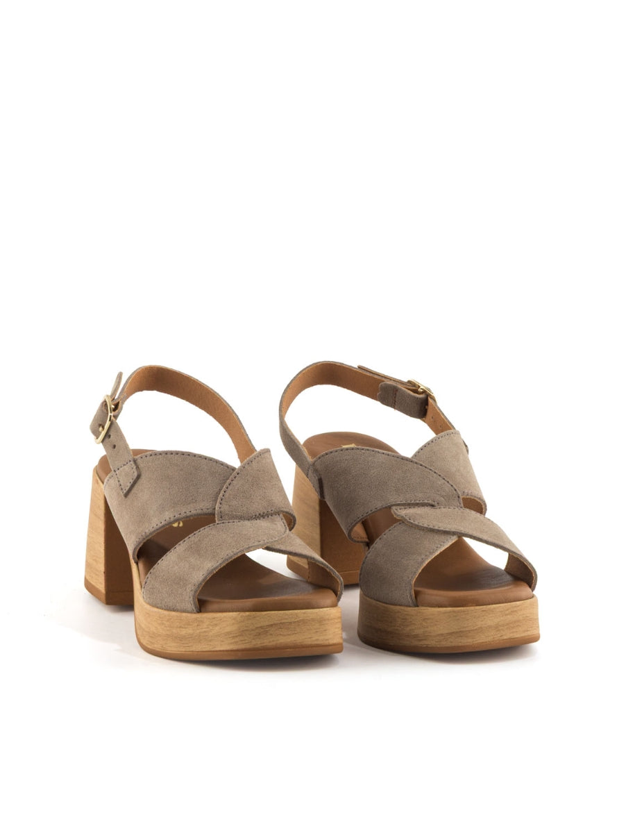 1244 BRAND T-145793 TAUPE -1