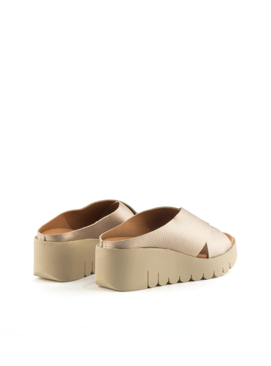 204261 BRAND ARA 500  CAVA-2