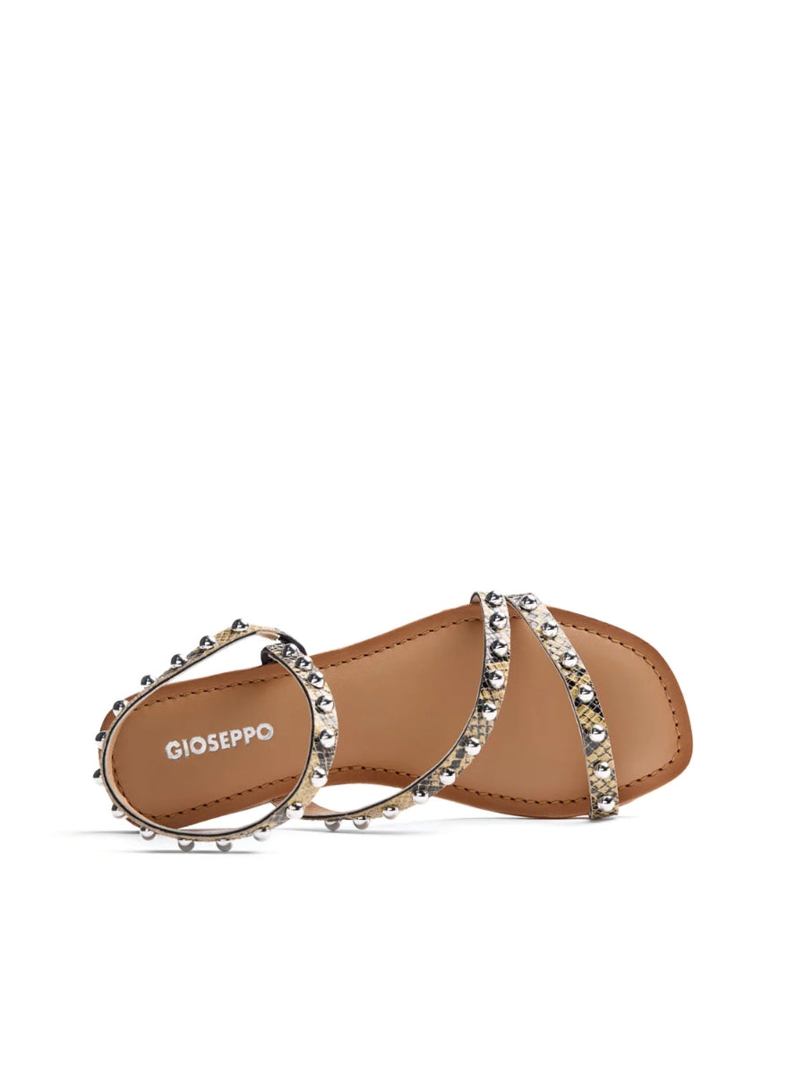 GIO 79123 SUBUKIA  VAINILLA -2