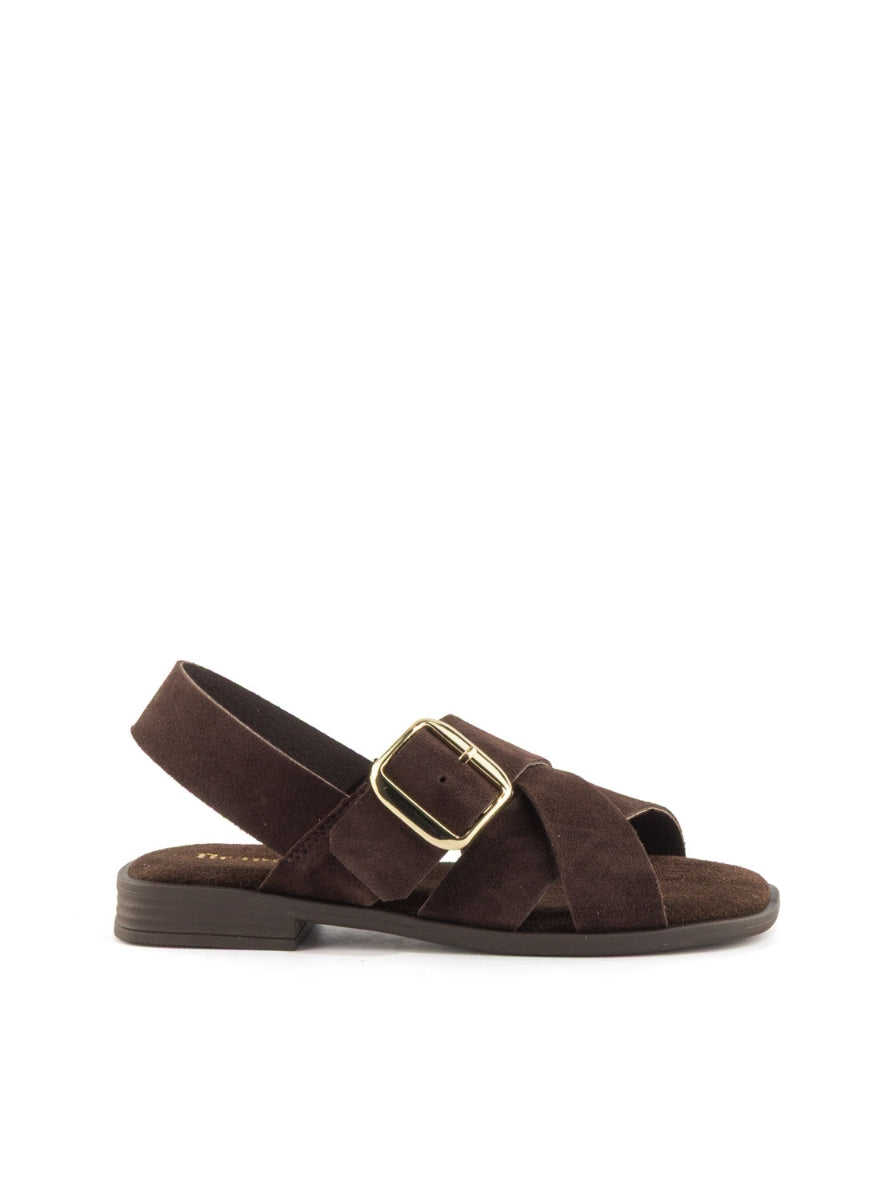 1244 BRAND T-162854 MARRON -0
