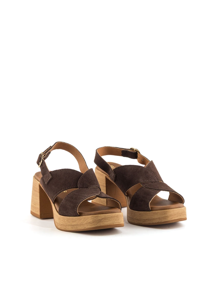 1244 BRAND T-145793 MARRON -1