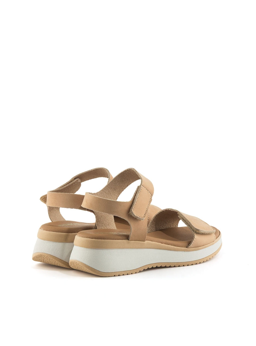 302 PRIMI 5942 TAUPE-2
