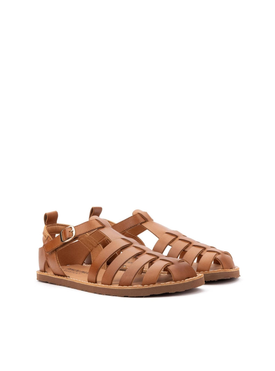 PKL W0F-0934 sra  BRANDY -0
