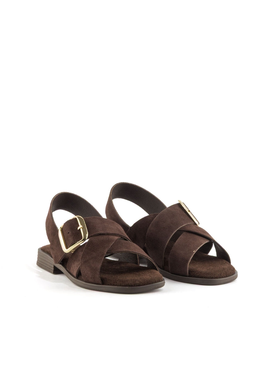 1244 BRAND T-162854 MARRON -1
