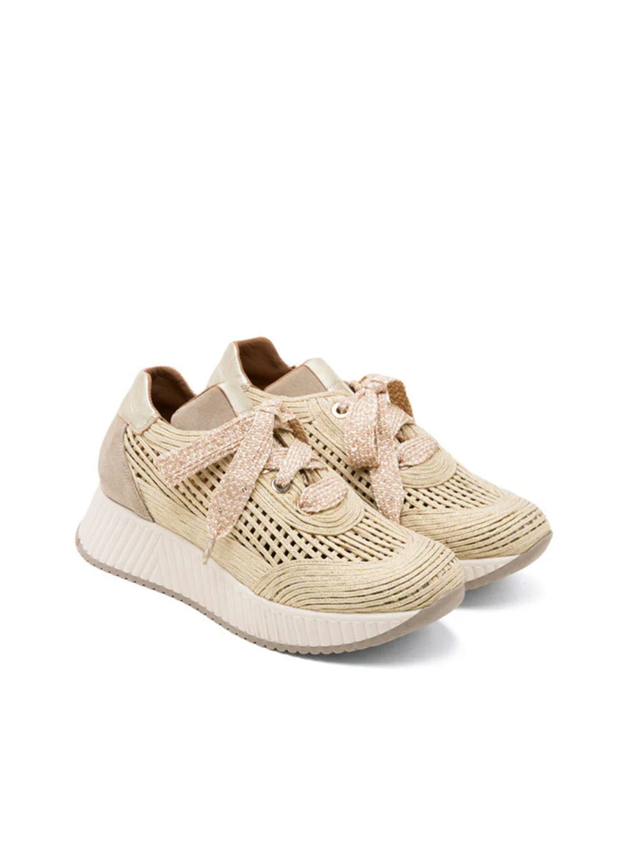 PORRONET DEP500 ARENA ORO -2