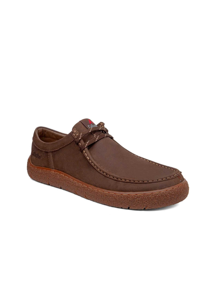 CALLAGHAN 67951 52994 MARRON -1