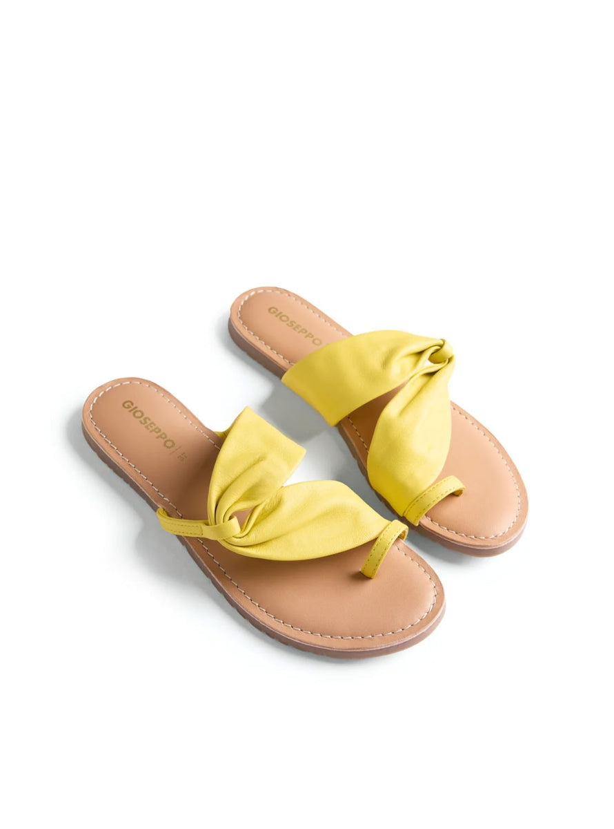 GIO 79275 KISERIAN AMARILLO-1
