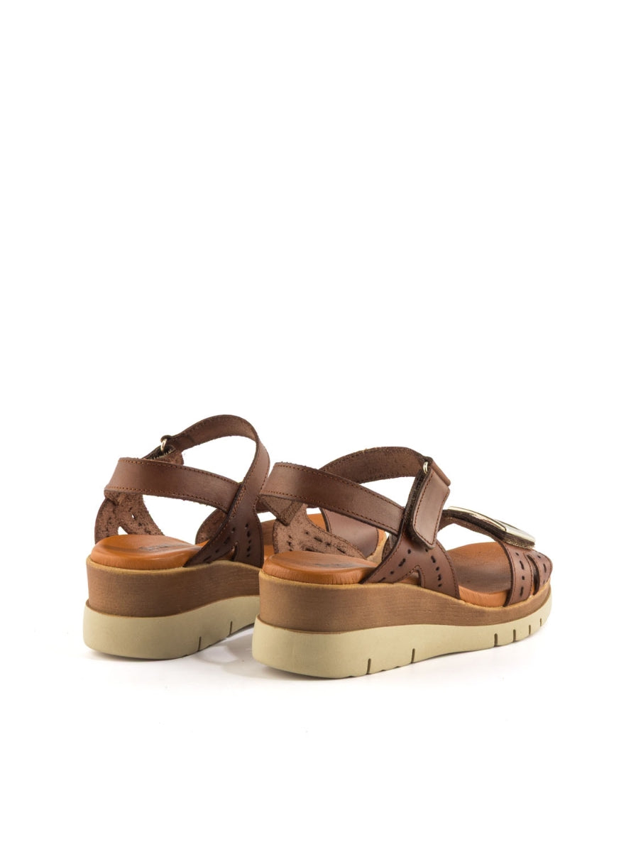 4236 BRAND 4630 MARRON -2