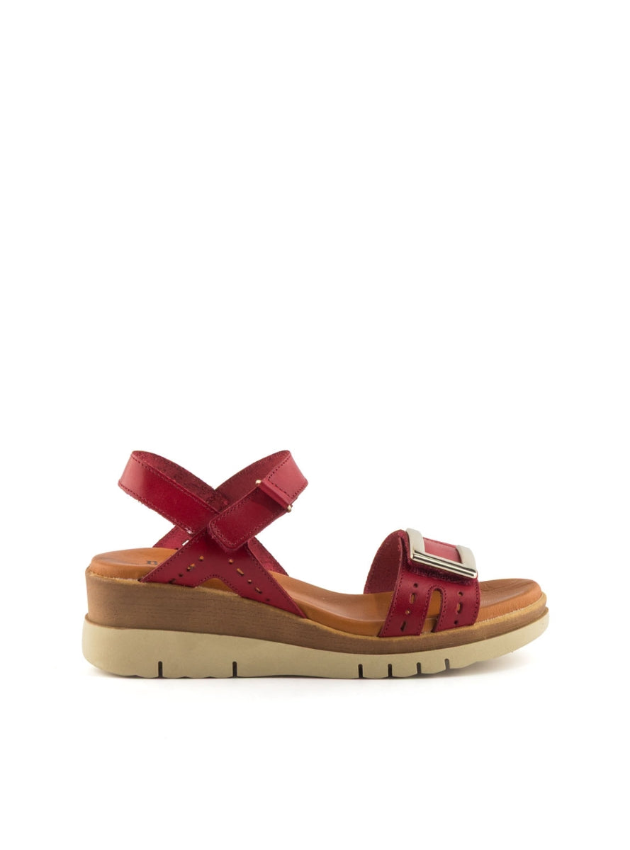 4236 BRAND 4630 ROJO -0