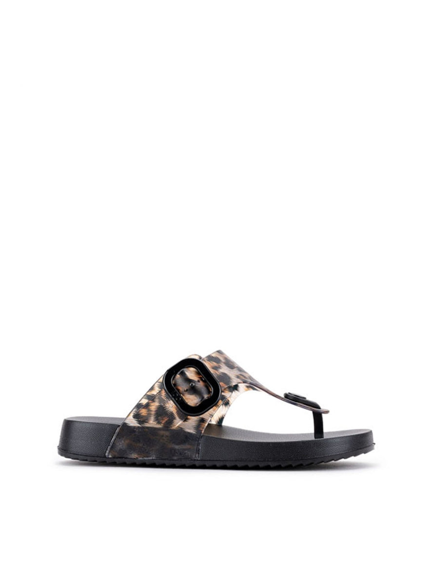 IGOR S10362-002  BARI LEO 002 NEGRO-0