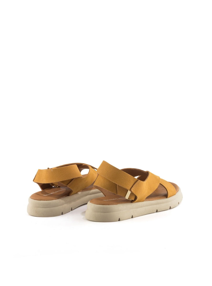 204261 BRAND IBIZA 400 AMBAR-2