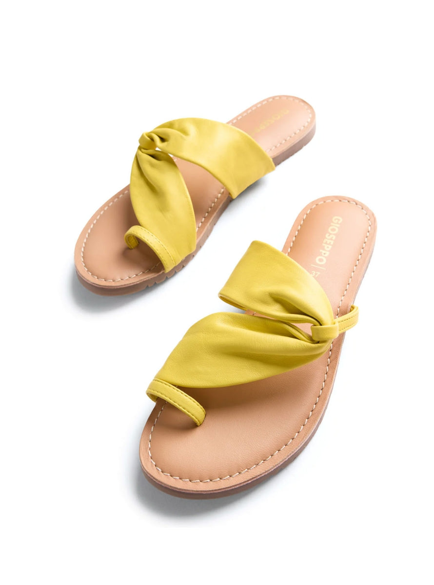 GIO 79275 KISERIAN AMARILLO-2
