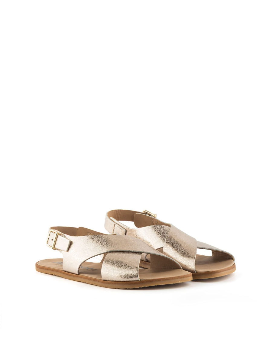 1190 BAREFOOT AURORA  PLATINO -1
