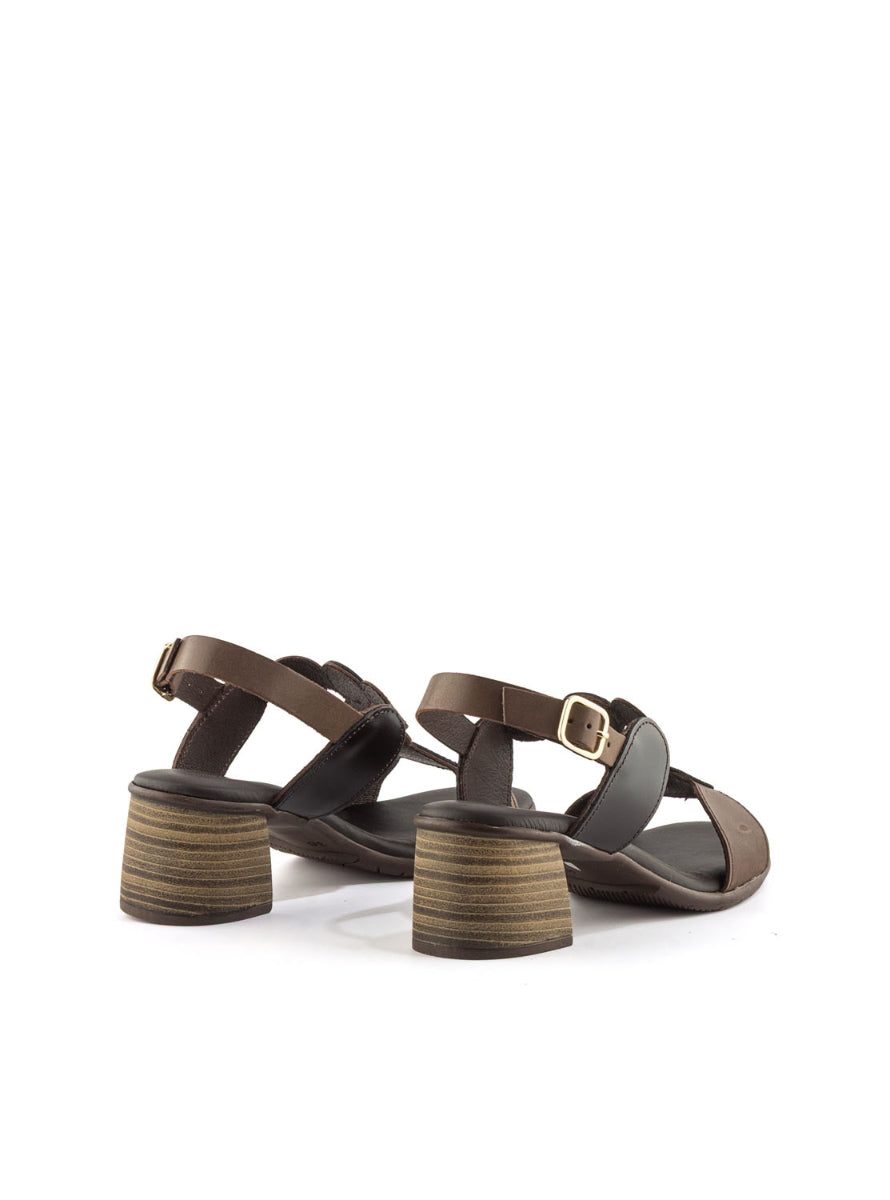 1244 BRAND T-111863 MARRON-2