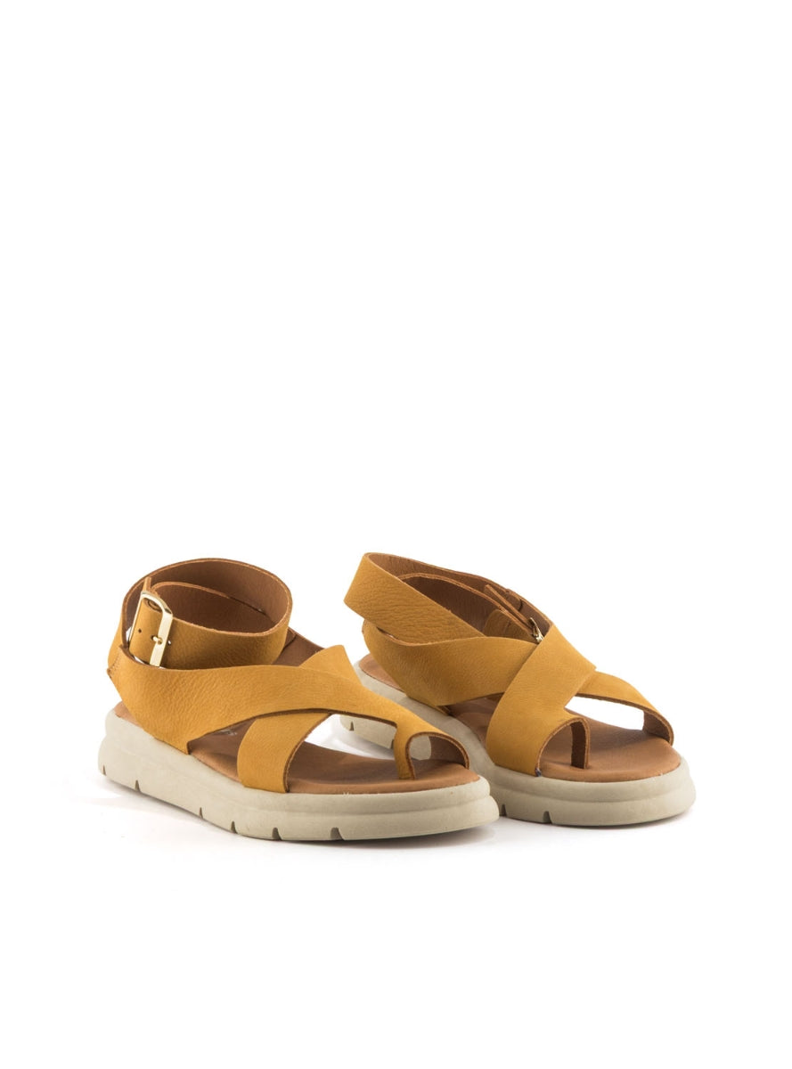204261 BRAND IBIZA 400 AMBAR-1