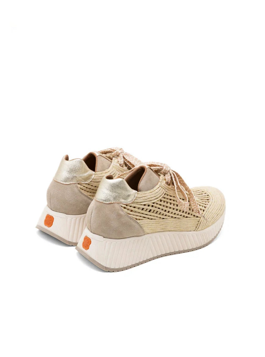 PORRONET DEP500 ARENA ORO -3