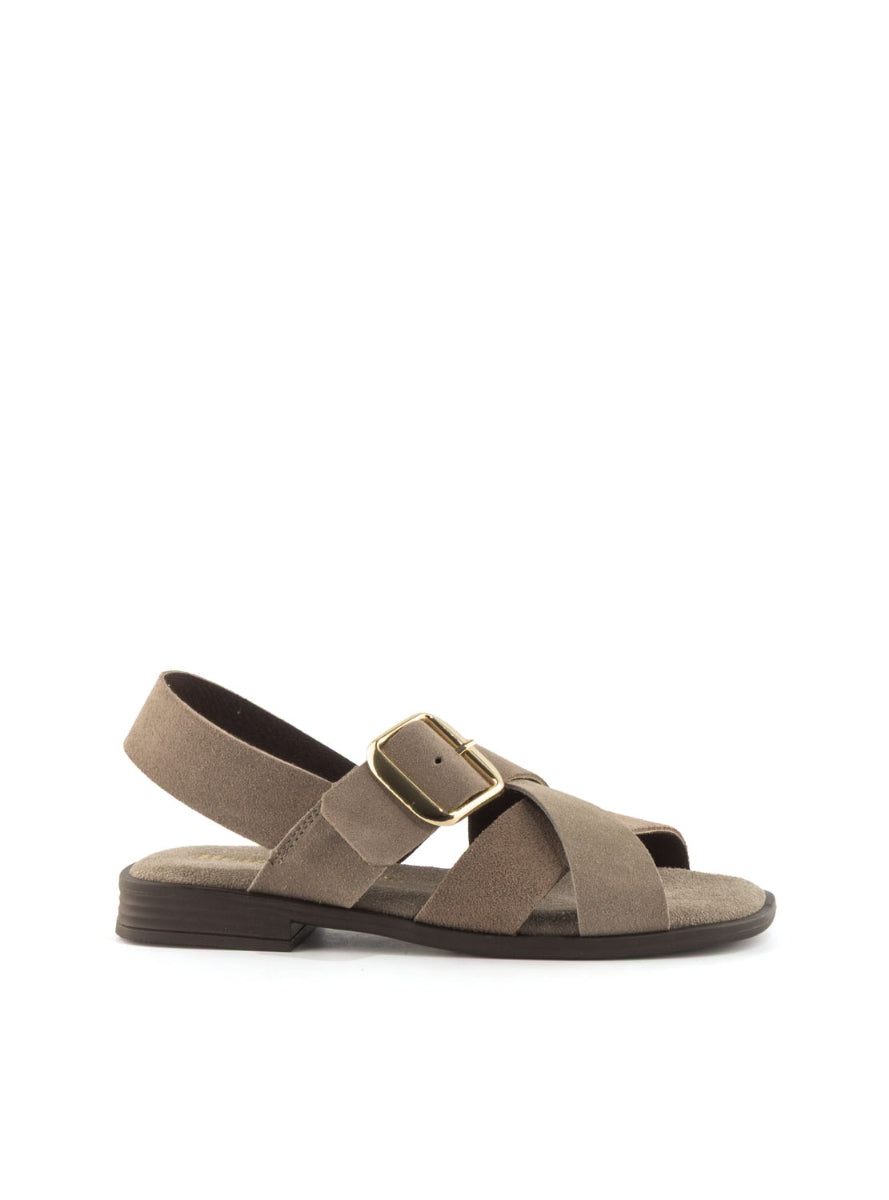 1244 BRAND T-162854 TAUPE -0