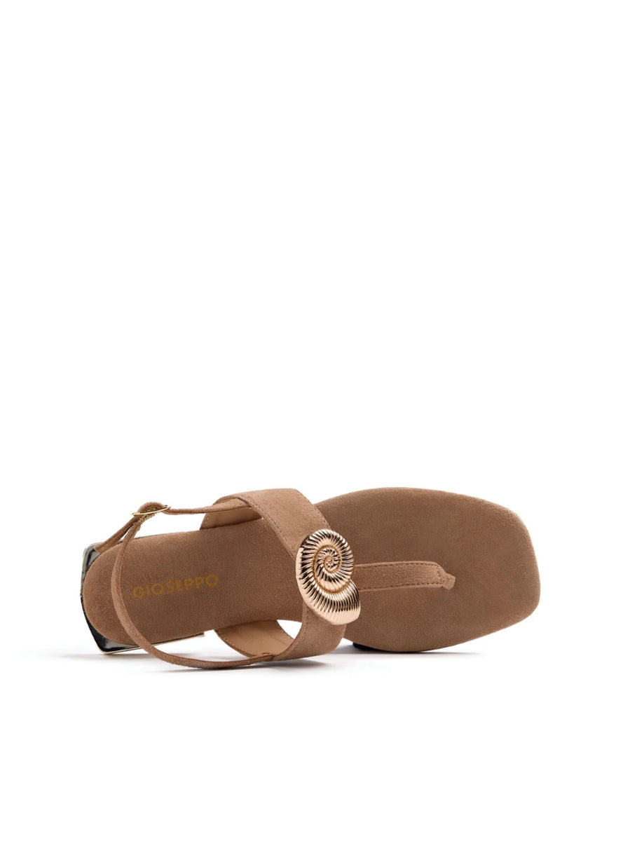 GIO HARRINGTON  CUERO -2