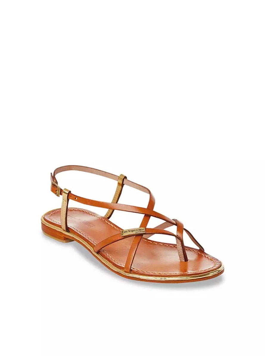 LTROP MONACODE C002142 CUERO ORO -1