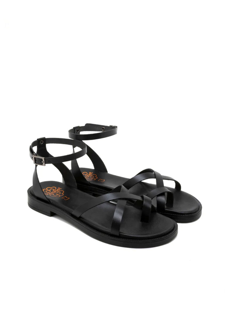 PORRONET 3230 NEGRO -2
