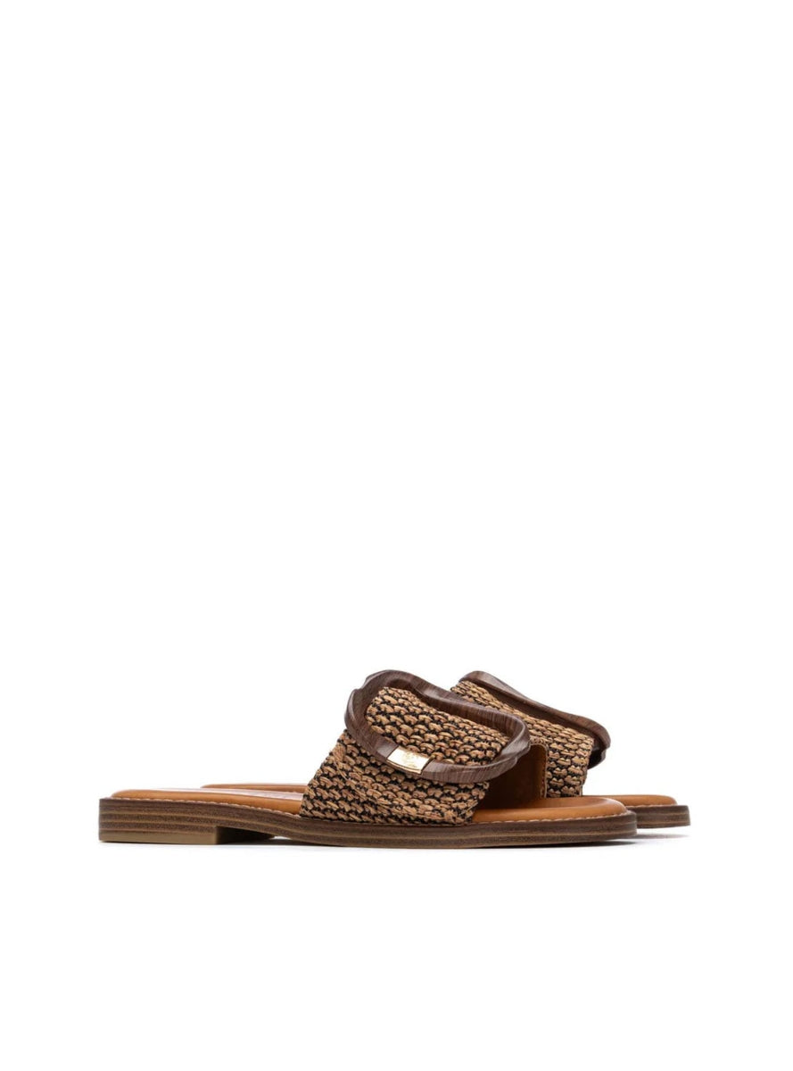 CARMELA 16316101 CAMEL-1